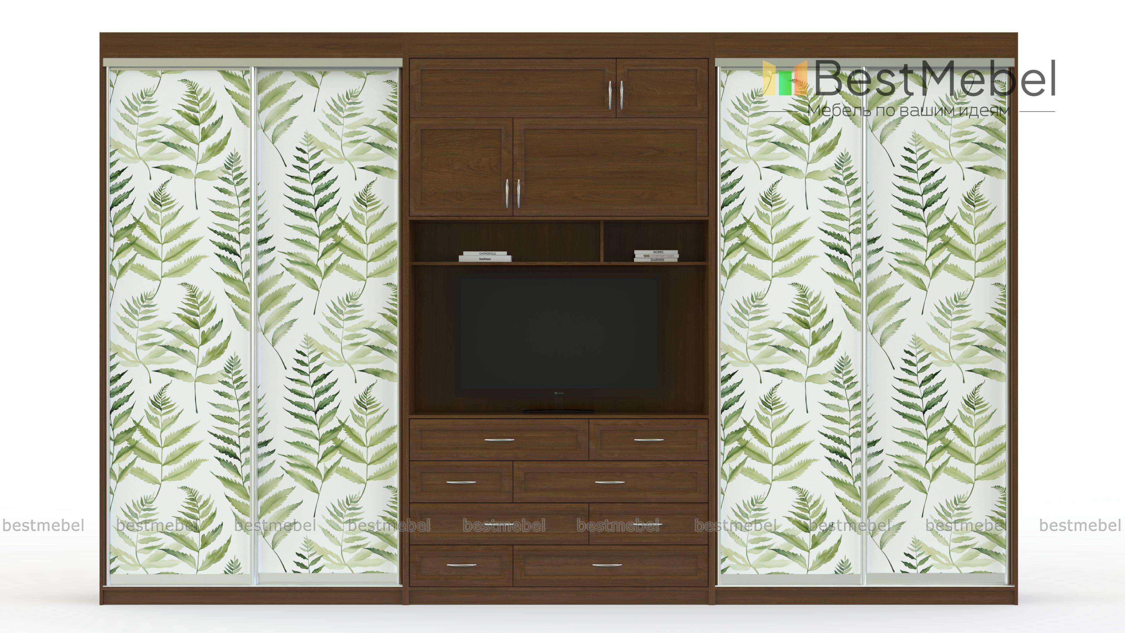 Двойной шкаф-купе Даная 34 BMS - Фото