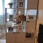 Стеллаж С-6 BMS - Фото от клиента