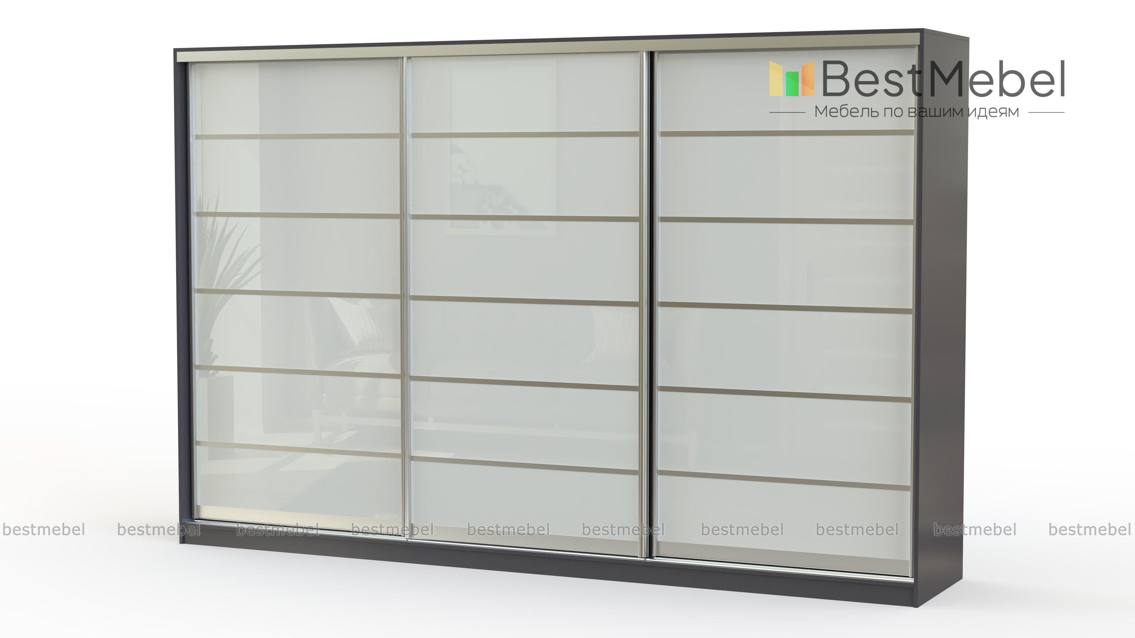 Шкаф купе TV Техно 5 BMS - Фото