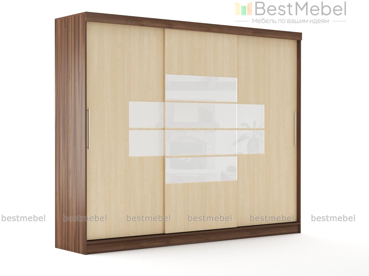 Шкаф-купе Эконом-21 BMS - Фото