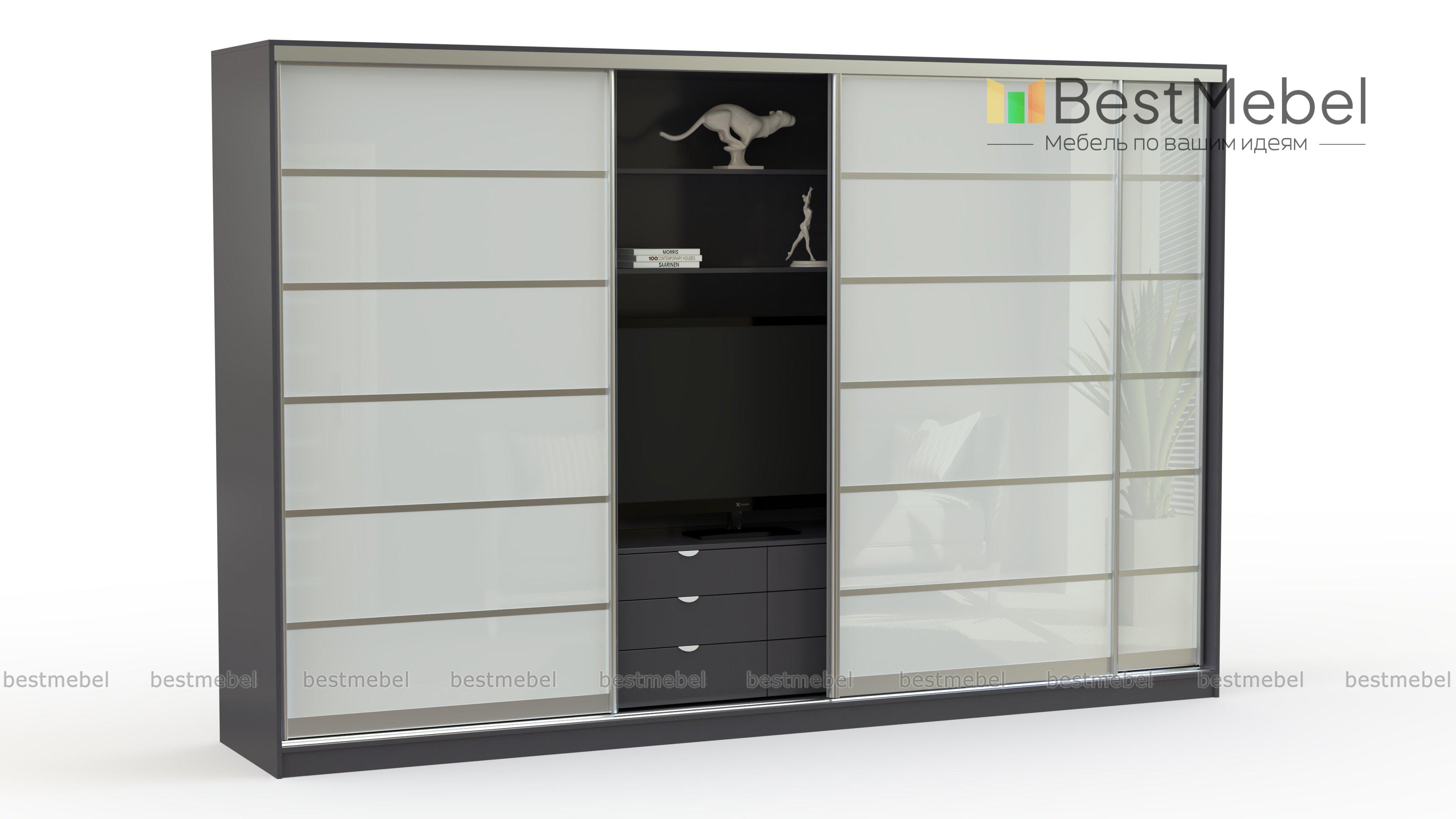 Шкаф купе TV Техно 5 BMS - Фото