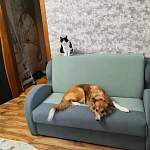 Диван Алан BMS - Фото от клиента