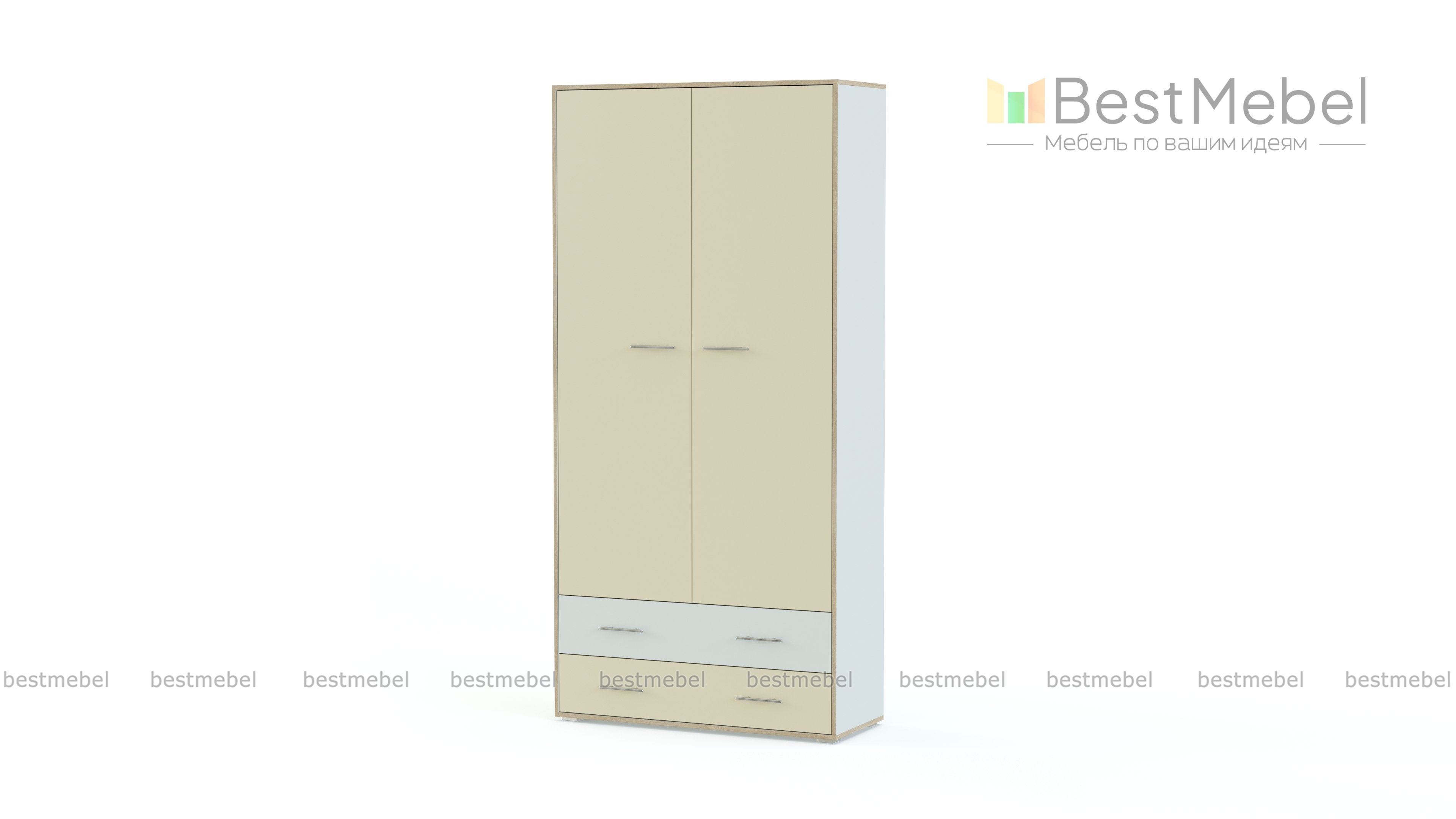 Шкаф Лео 2Д2Ш BMS