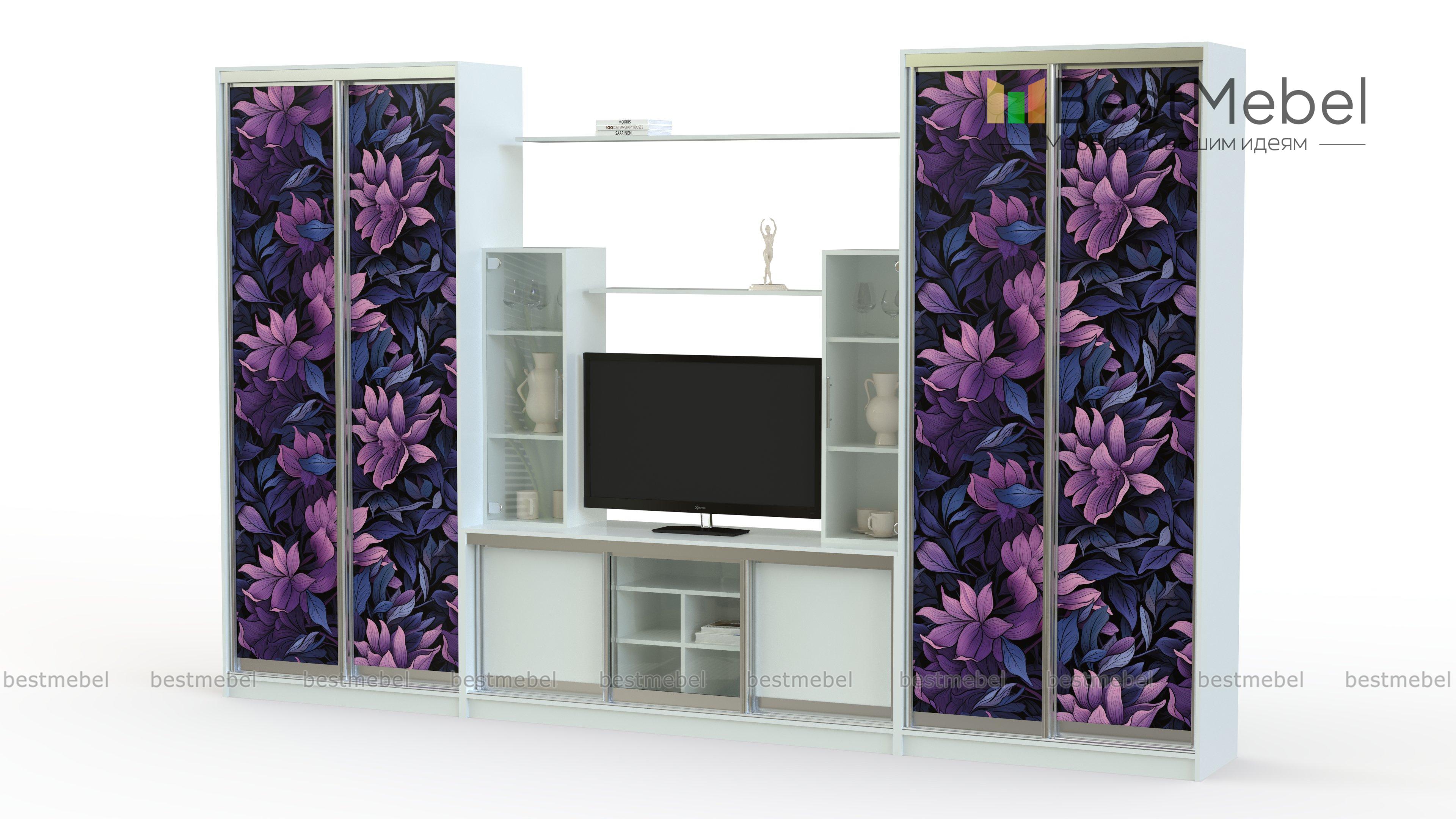 Двойной шкаф-купе Марта 21 BMS - Фото