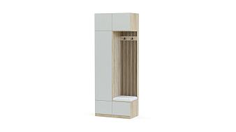 Прихожая Дублин 25 BMS (1000х2500х500)