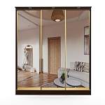 Шкаф-купе Лагуна-12 BMS - Фото 4