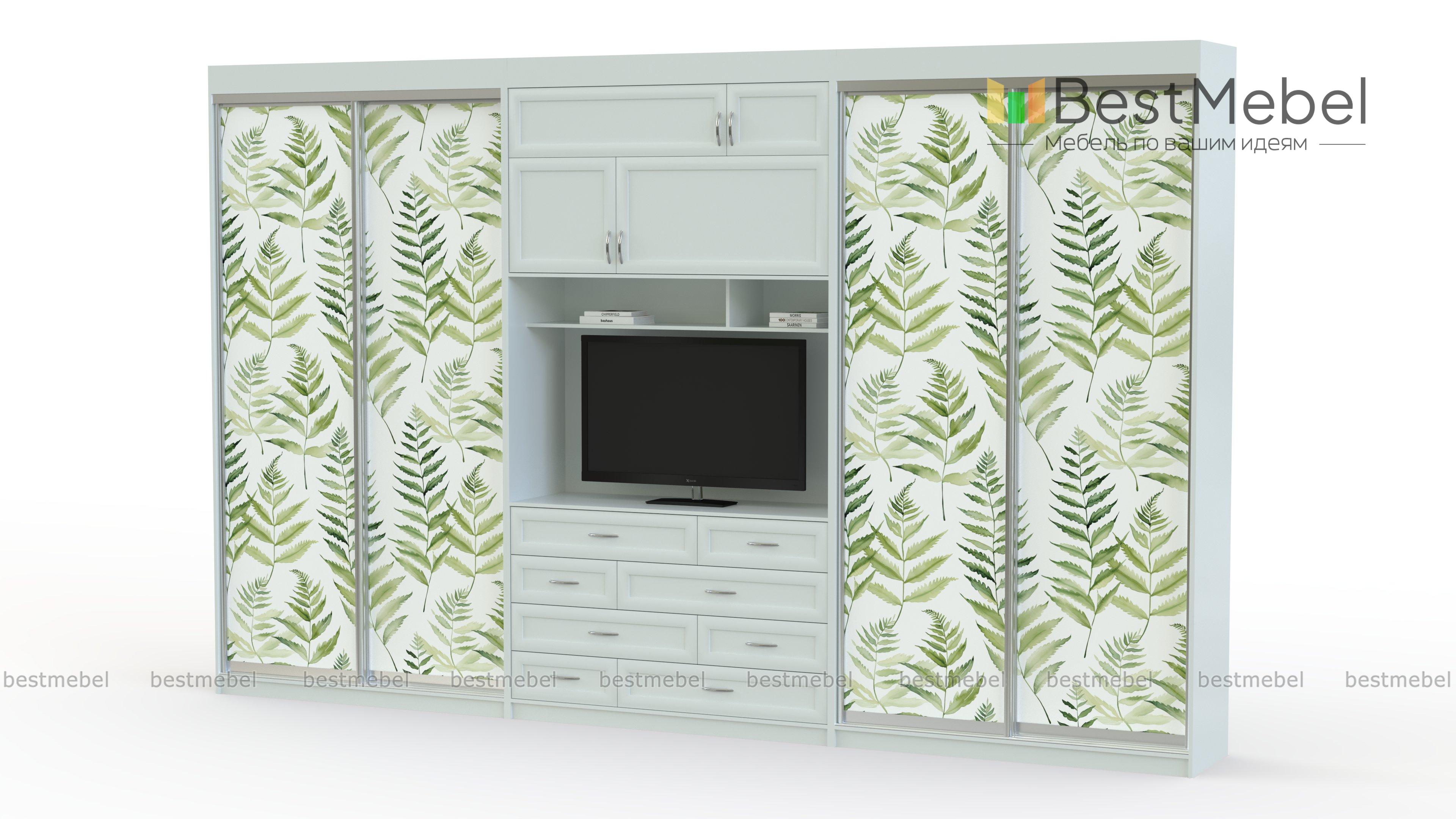 Двойной шкаф-купе Даная 34 BMS - Фото