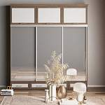 Шкаф-купе Нэмо 7 BMS - Фото 4