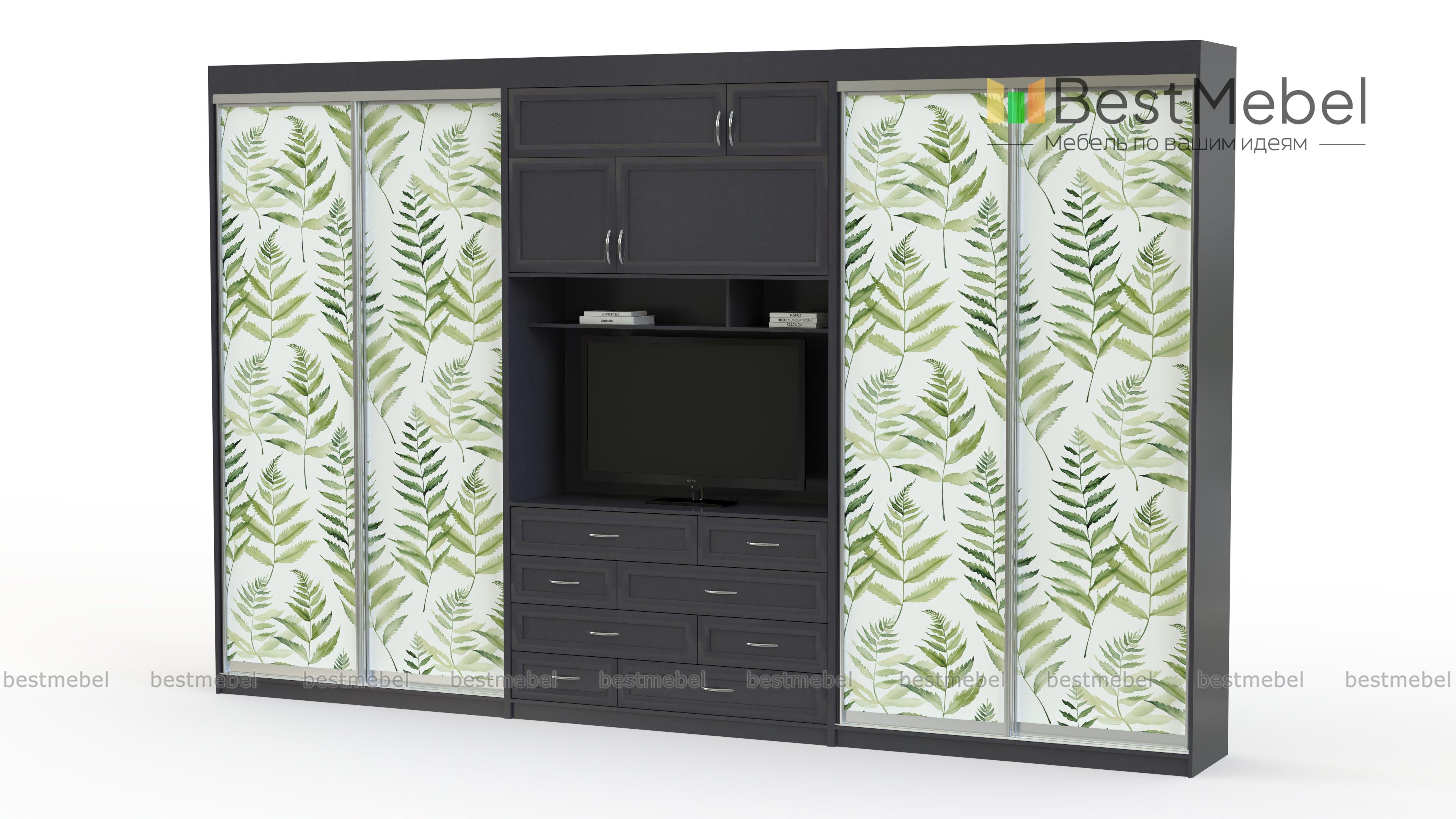 Двойной шкаф-купе Даная 34 BMS - Фото