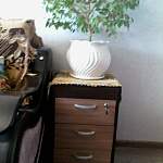 Тумба ТС 06-01 BMS - Фото от клиента