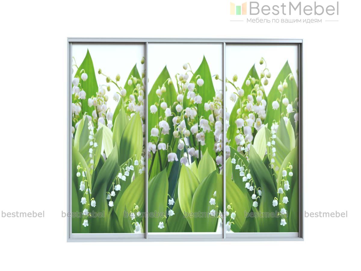 Шкаф-купе № 76 BMS - Фото