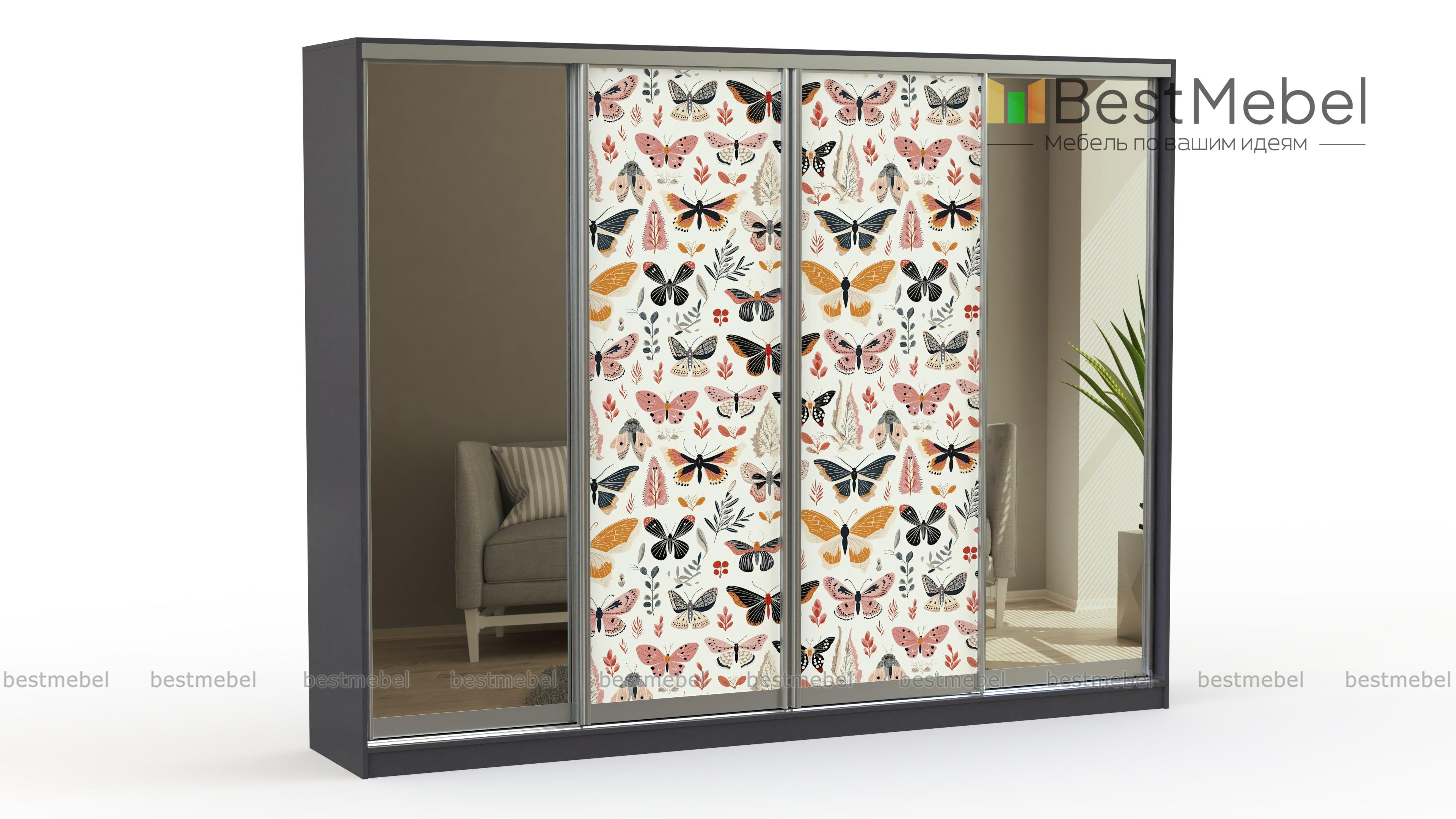 Шкаф-купе Природа 8 BMS - Фото